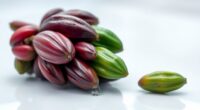 impact of lab grown chocolate