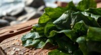 seaweed snack popularity increase
