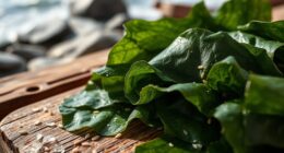 seaweed snack popularity increase