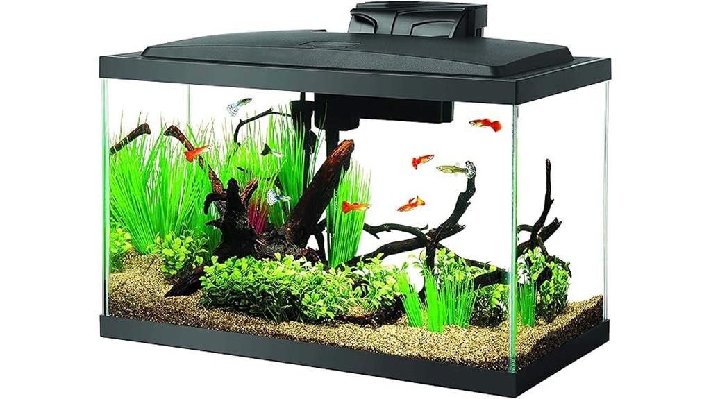 10 gallon led fish tank