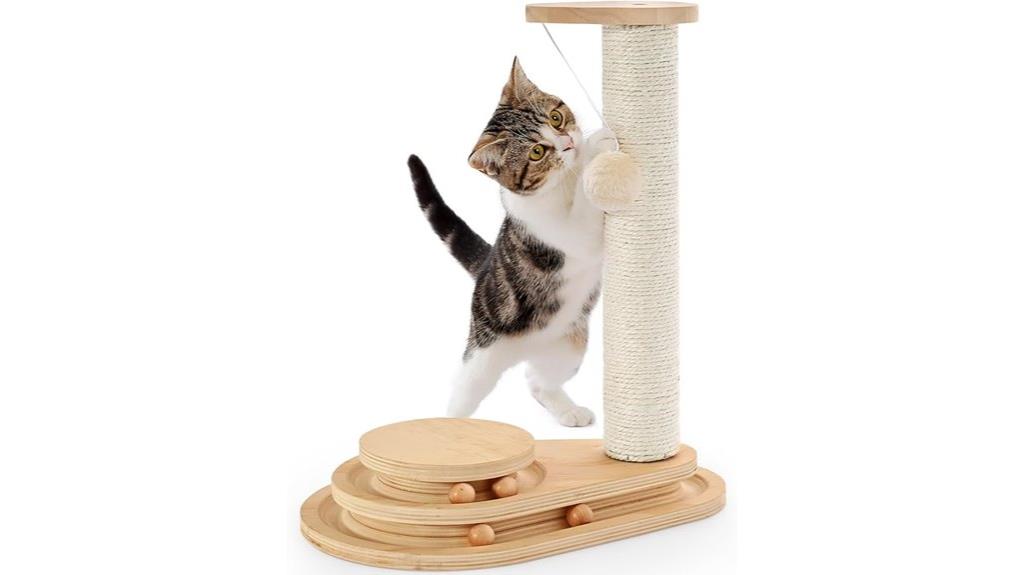 indoor cat scratching toy