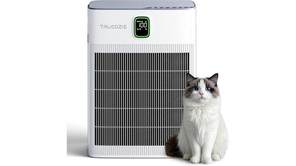 large home air purifier