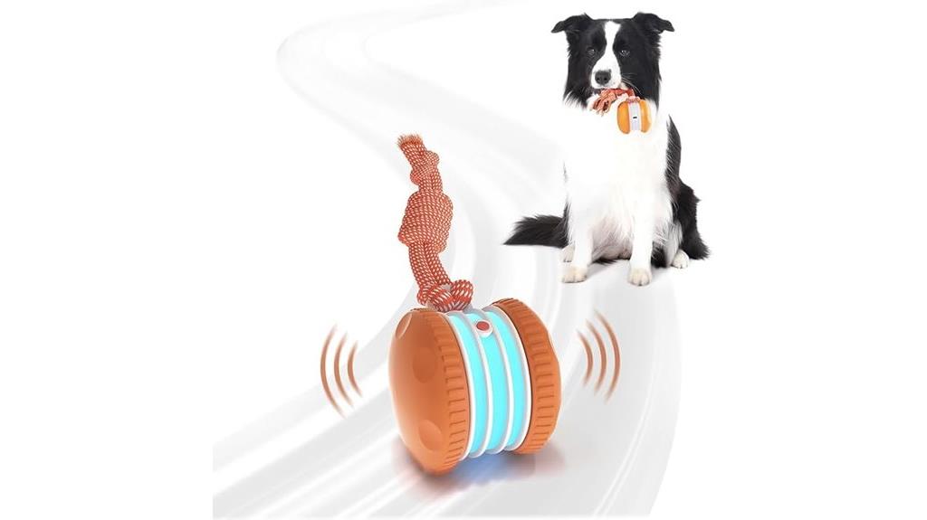 motion activated dog rope