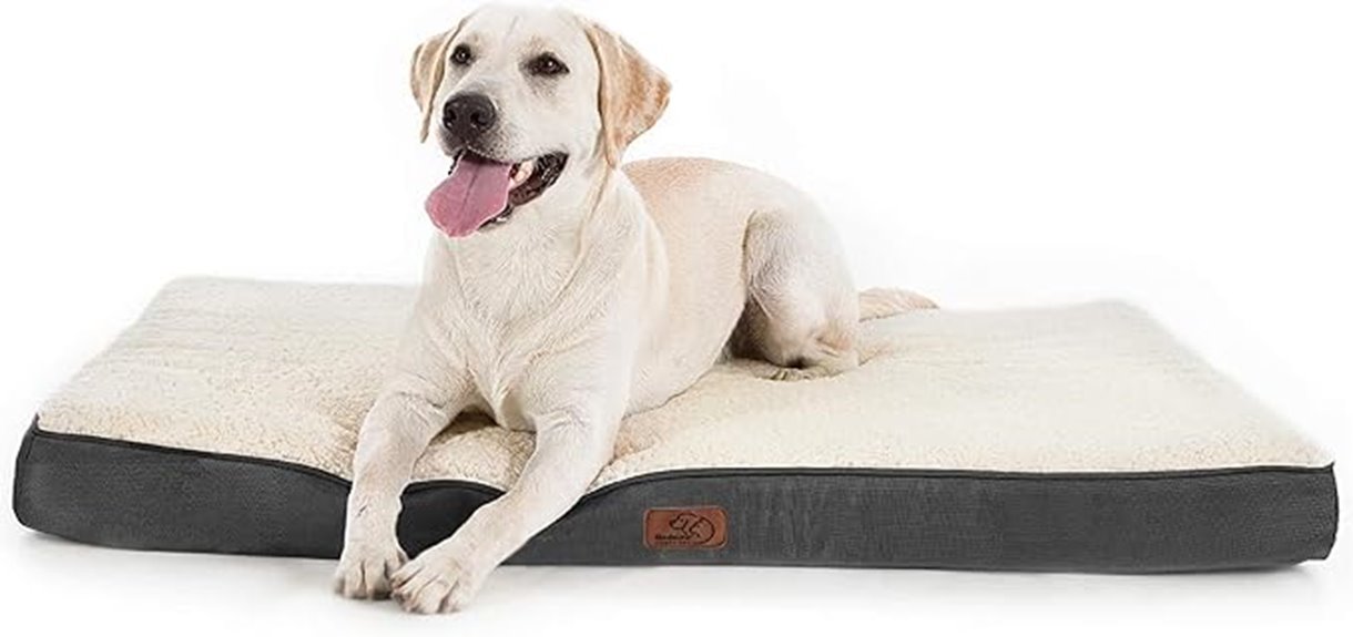 orthopedic washable dog bed