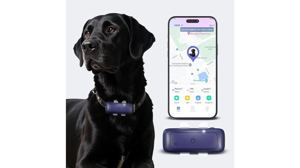 real time pet location tracking