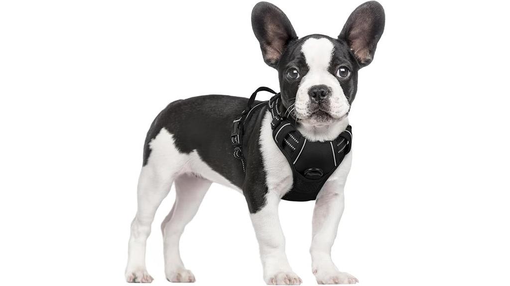 reflective small dog harness