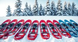 top snowshoes for winter