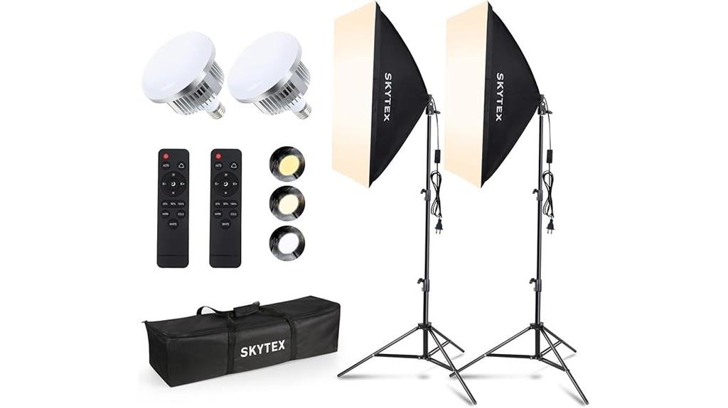 dual 20x28in softbox kit