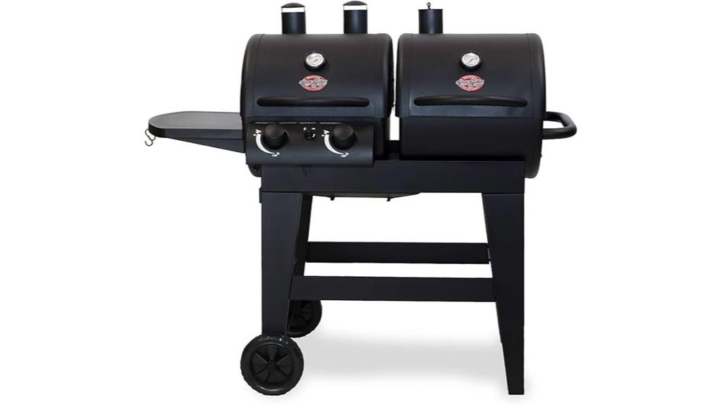 dual function 2 burner grill