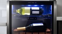 dual zone countertop wine coolers
