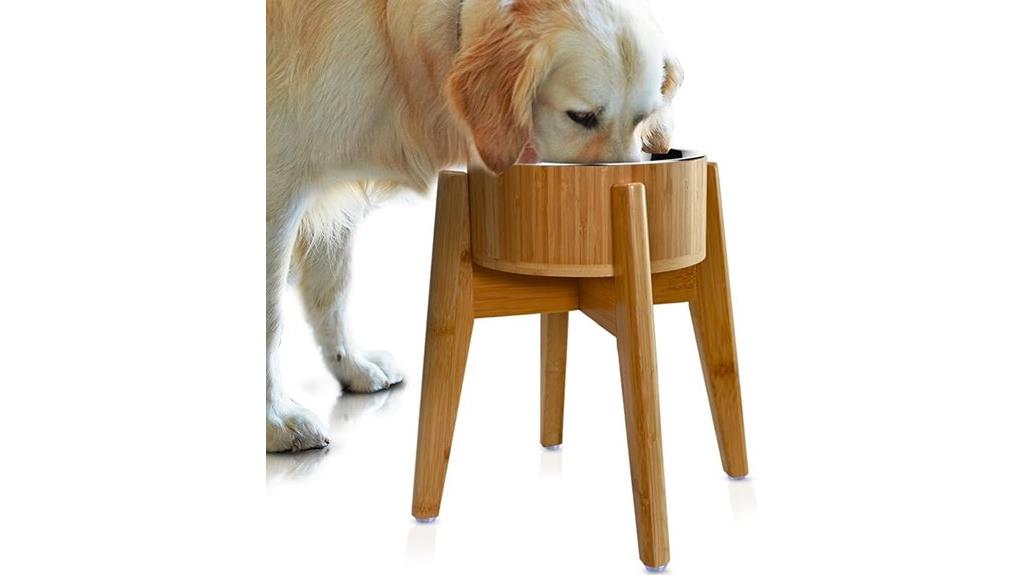 large elevated dog bowl
