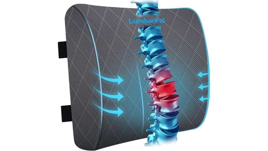 office car lumbar pillow