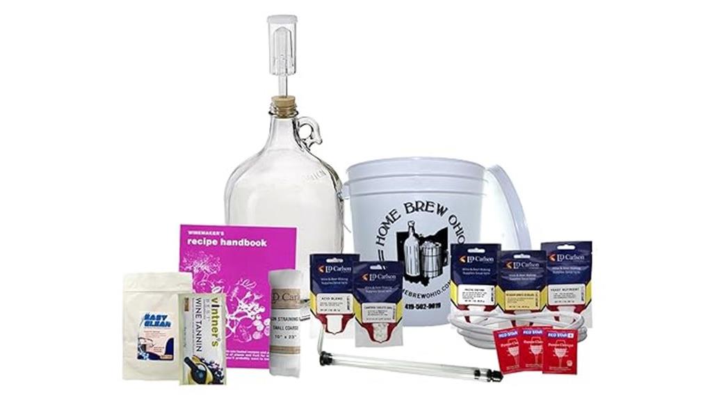 one gallon fruit wine kit