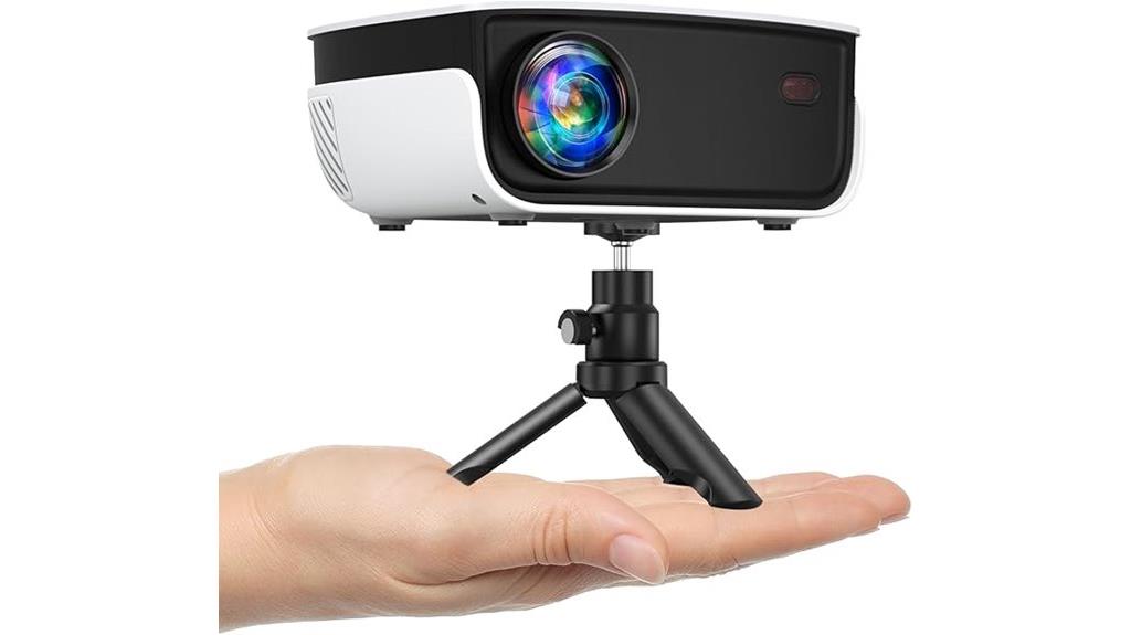 portable outdoor projector