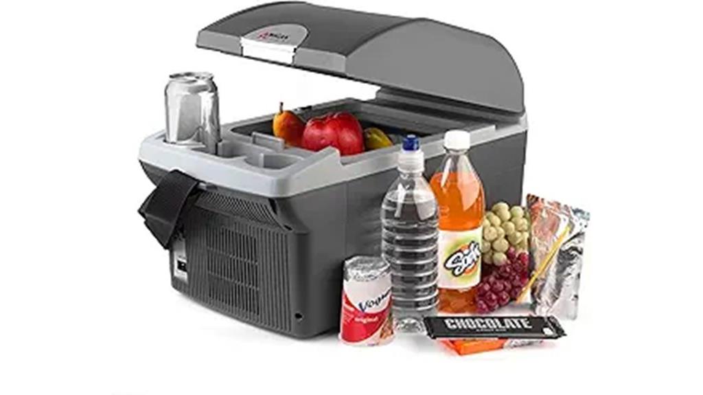 portable thermoelectric cooler
