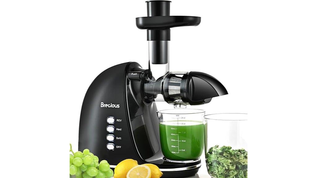 quiet dual speed juicer