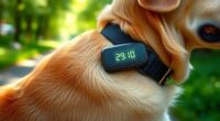 top non subscription gps collars