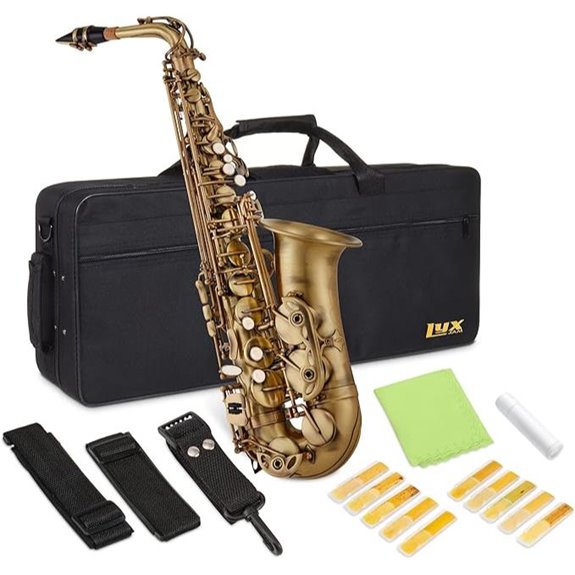 Alto E-Flat Brass Saxophone Kit with Accessories