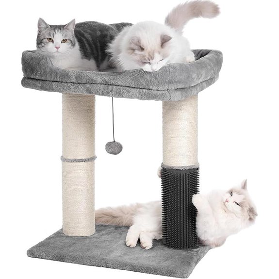 cat tree with bed