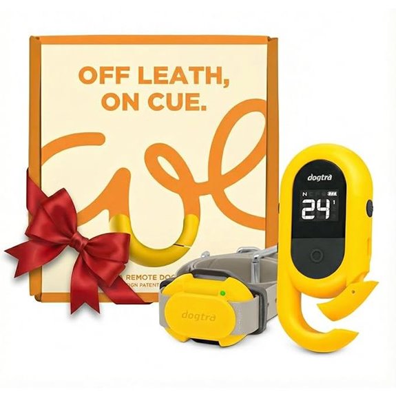 dog training e collar