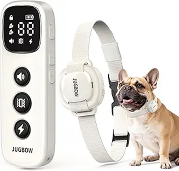 dog training shock collar