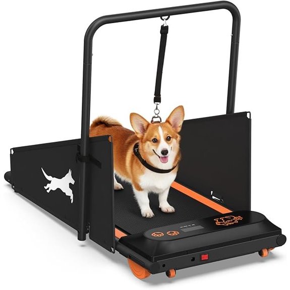 dog treadmill for small