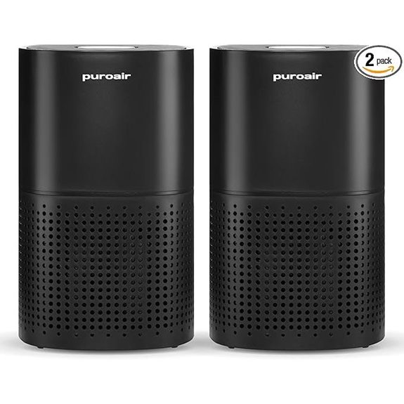 dual large room air purifiers