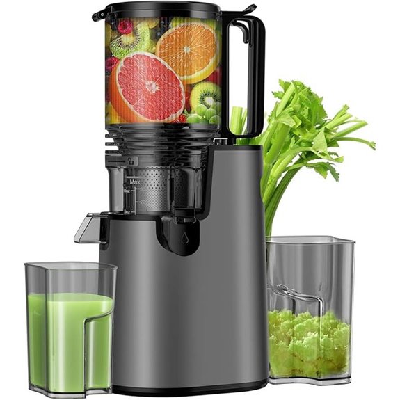 Cold Press Juicer with Wide Feed Chute and High Yield