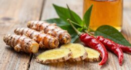 indonesia s traditional herbal medicine