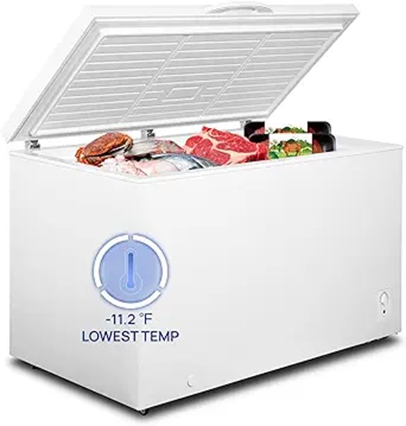 large capacity freezer