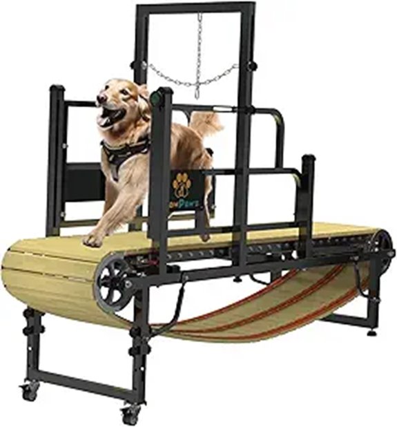 large dog treadmill product