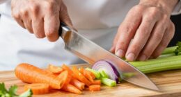 mastering professional knife techniques