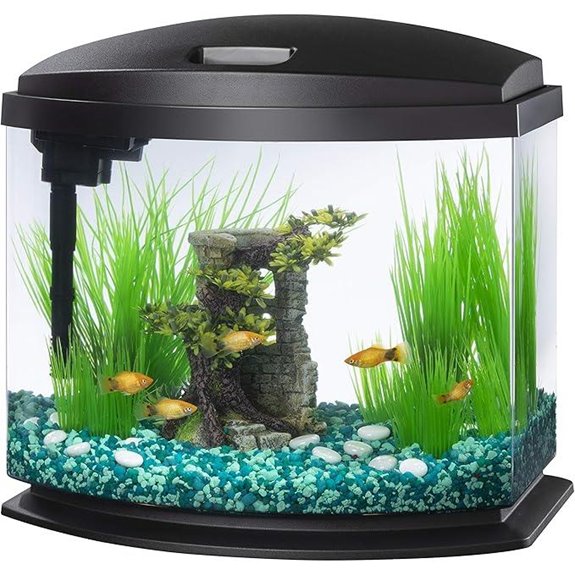 mini 5 gallon aquarium kit