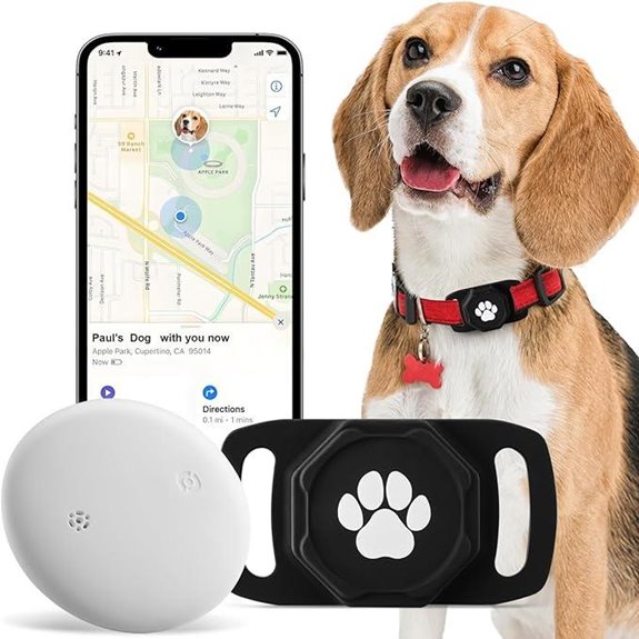 pet collar with tracker