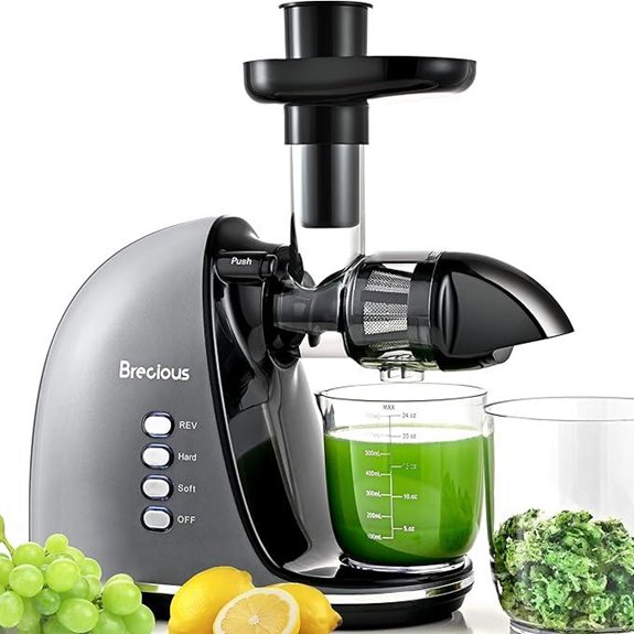 slow juicer with reverse