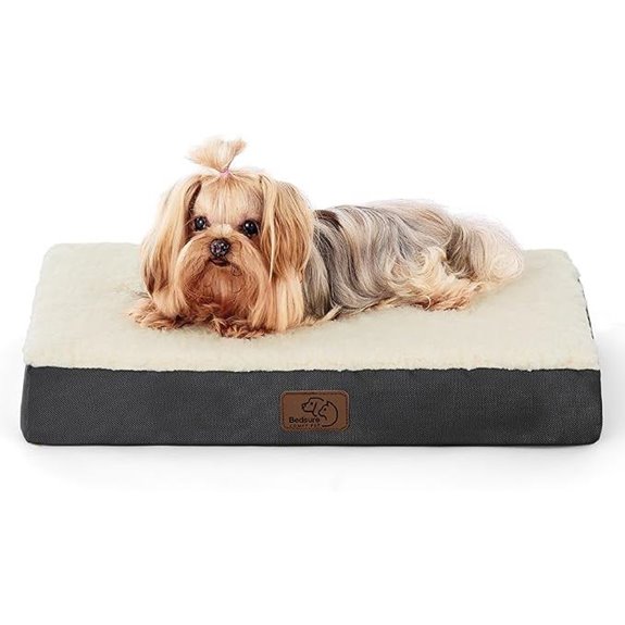 small washable dog bed