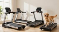 top dog treadmill picks