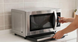 10 Best Combination Microwave Convection Ovens in 2026