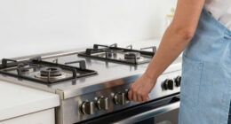 10 Best Dual Fuel Range for Baking and Cooking in 2026