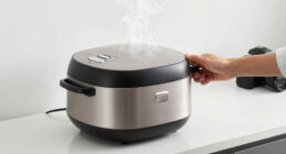 10 Best Top Rated Rice Cookers in 2026