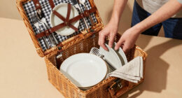 11 Best Best Premium Picnic Basket Set in 2026