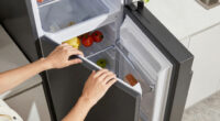 14 Best French Door Refrigerator High End in 2026