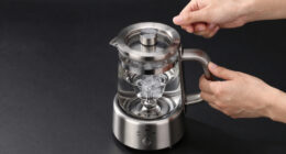 14 Best Premium Tea Brewer in 2026