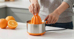 6 Best Best Citrus Juicer Electric Premium in 2026