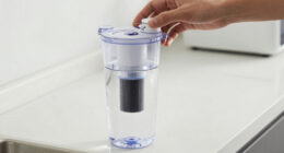 7 Best Premium Water Bottle Filtration System in 2026