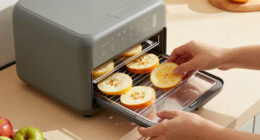 9 Best Food Dehydrator For Serious Home Cooks In 2026