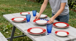 13 Best Patriotic Outdoor Dinnerware in 2026