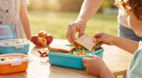 Lunch Boxes For Kids: A Back to school Guide