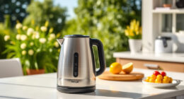 Summer Tea & Coffee Hacks with Ninja KT200BL Electric Kettle