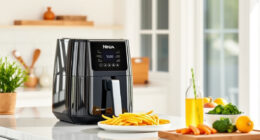 Summer Tips & Hacks for Ninja Air Fryer 4 Qt
